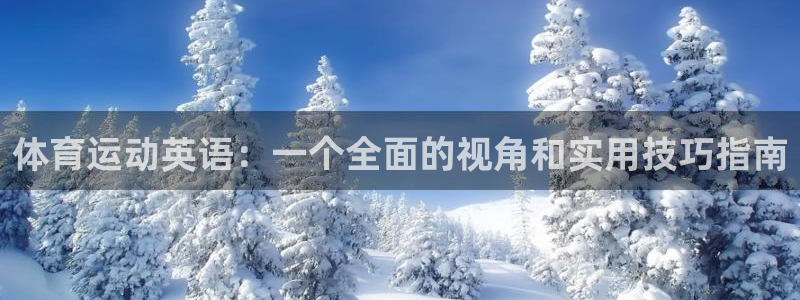 3377体育官方正版app集团logo:体育运动英语:一个全