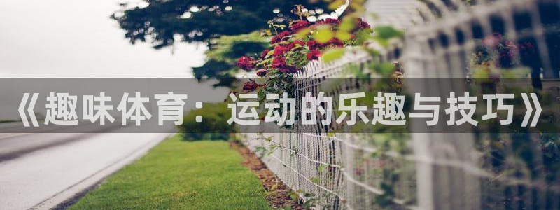 3377体育官网下载平台注册要钱吗是真的吗:《趣味体育:运动