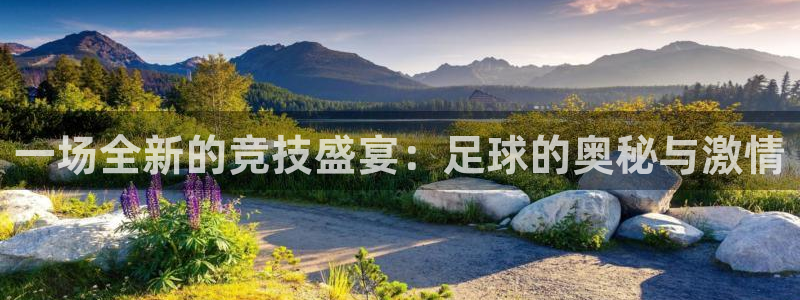 3377体育官方正版app娱乐网站:一场全新的竞技盛宴:足球